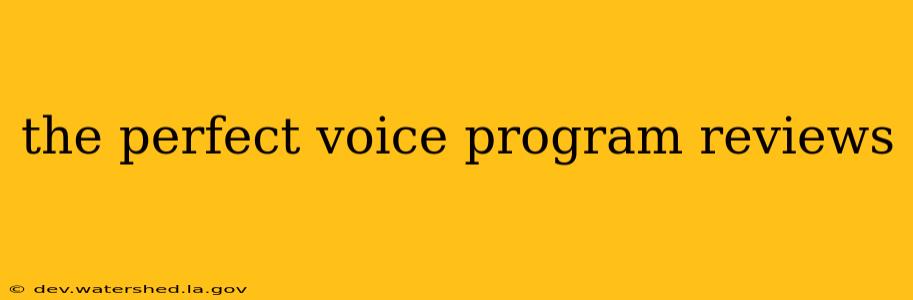 the perfect voice program reviews