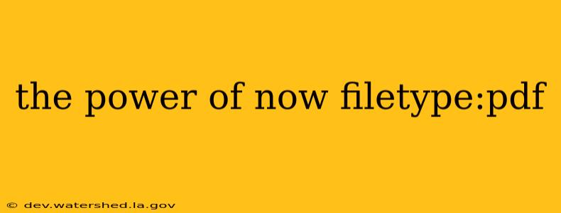 the power of now filetype:pdf