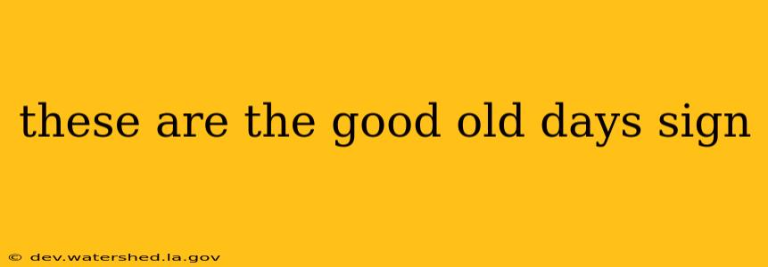 these are the good old days sign