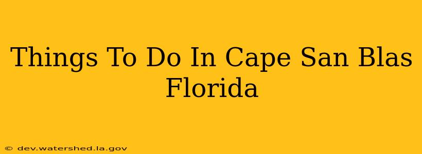 things to do in cape san blas florida