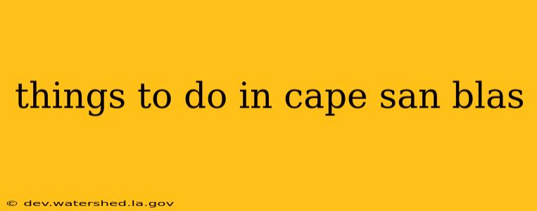 things to do in cape san blas