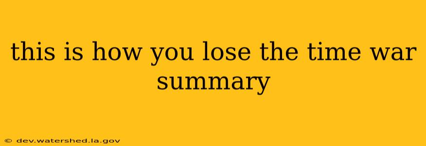 this is how you lose the time war summary