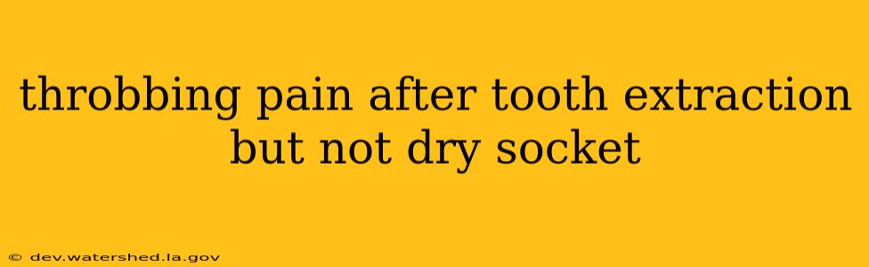 throbbing pain after tooth extraction but not dry socket