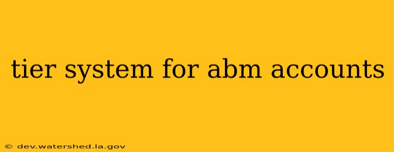 tier system for abm accounts