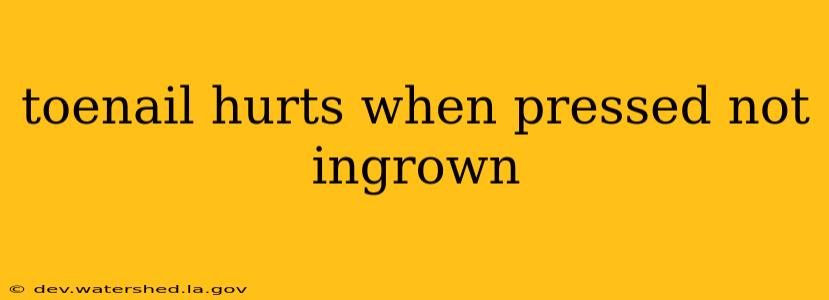 toenail hurts when pressed not ingrown
