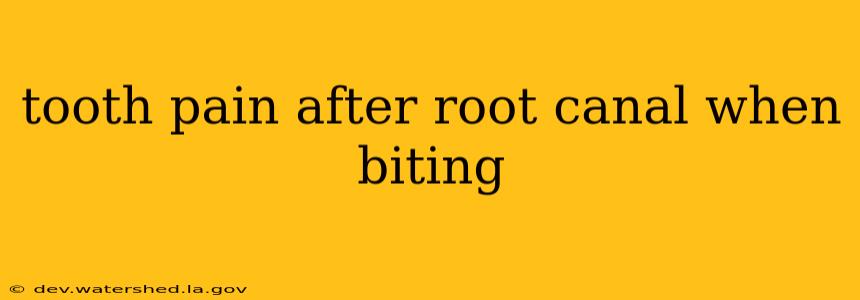 tooth pain after root canal when biting