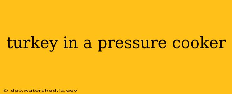 turkey in a pressure cooker