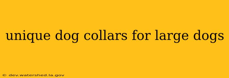 unique dog collars for large dogs