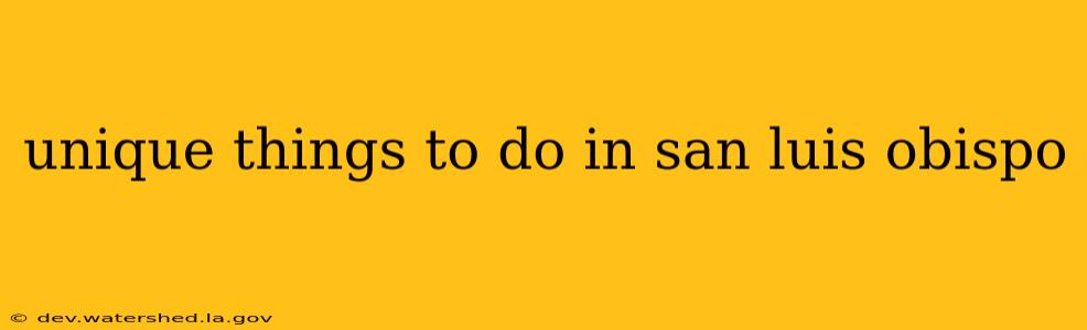 unique things to do in san luis obispo