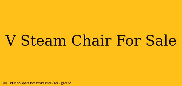 v steam chair for sale
