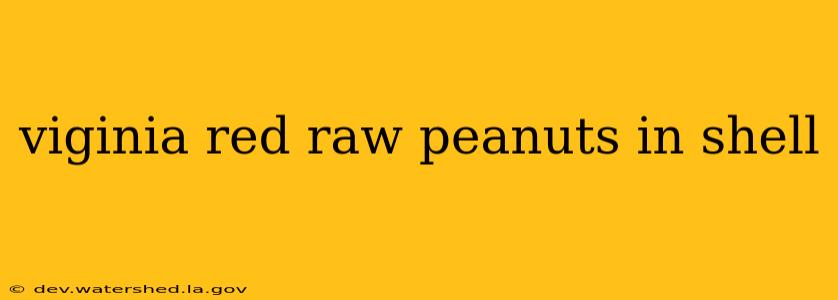 viginia red raw peanuts in shell