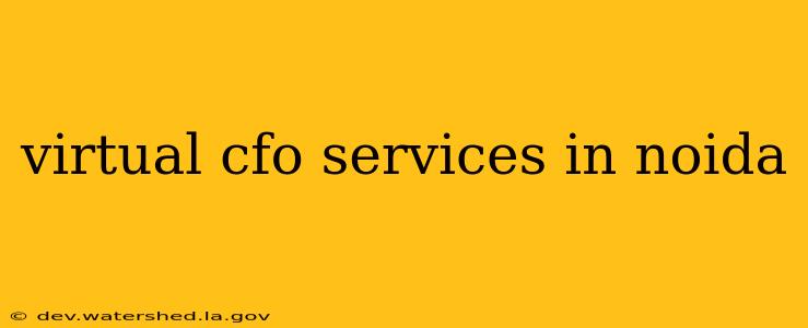 virtual cfo services in noida