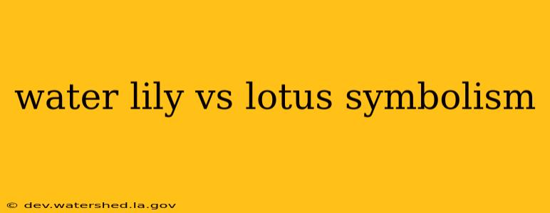 water lily vs lotus symbolism