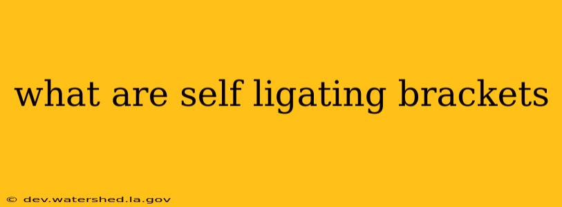 what are self ligating brackets