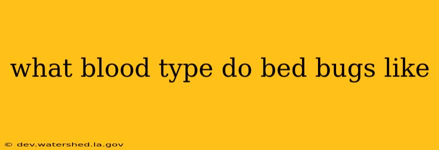 what blood type do bed bugs like