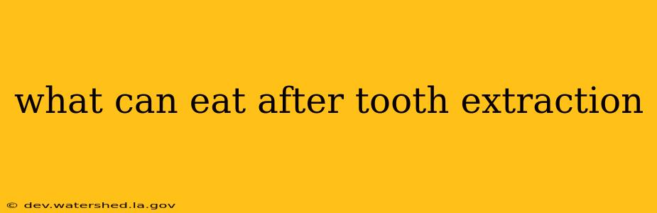 what can eat after tooth extraction