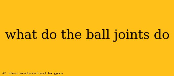 what do the ball joints do