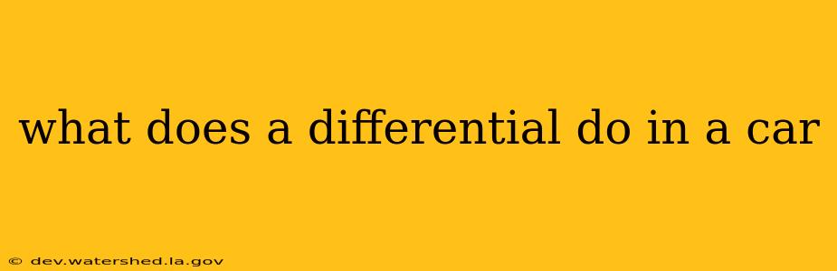 what does a differential do in a car