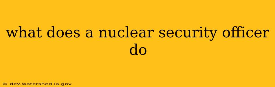 what does a nuclear security officer do