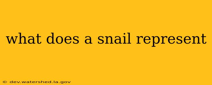 what does a snail represent
