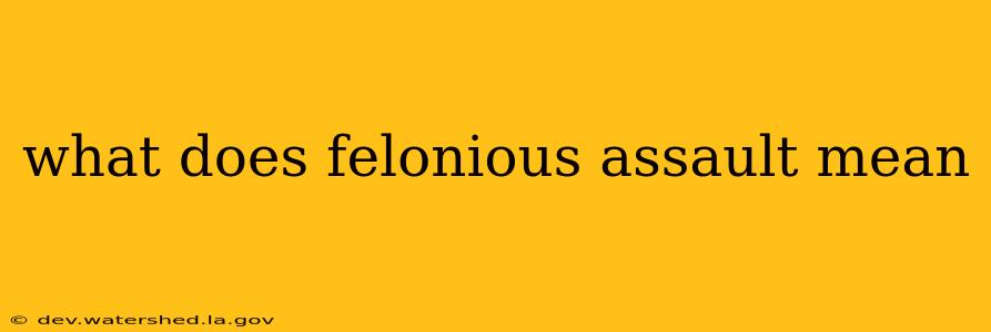 what does felonious assault mean