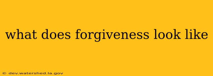 what does forgiveness look like