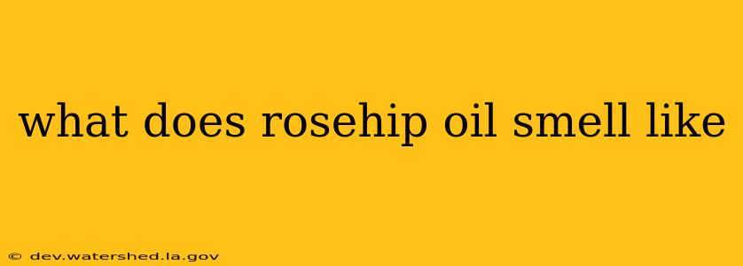what does rosehip oil smell like