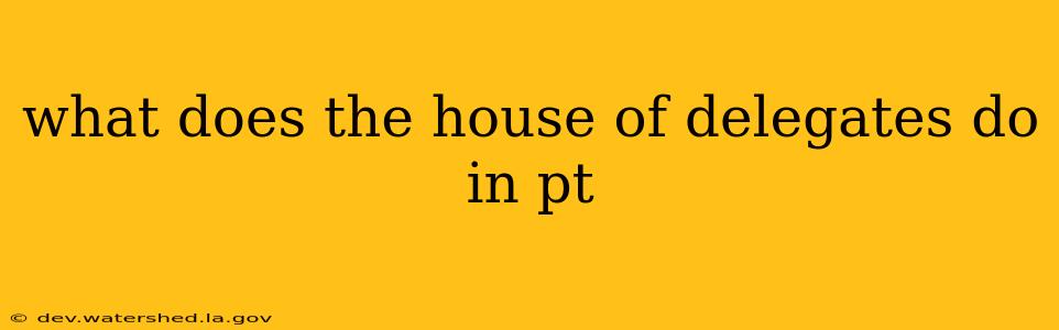 what does the house of delegates do in pt