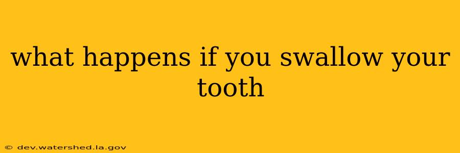 what happens if you swallow your tooth