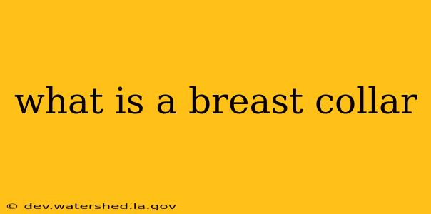 what is a breast collar
