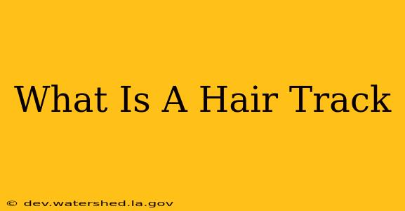 what is a hair track