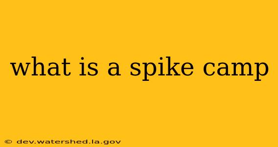 what is a spike camp