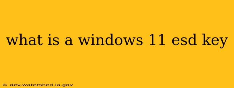 what is a windows 11 esd key