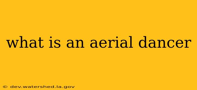 what is an aerial dancer