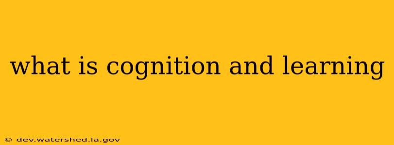 what is cognition and learning