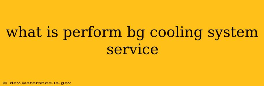 what is perform bg cooling system service
