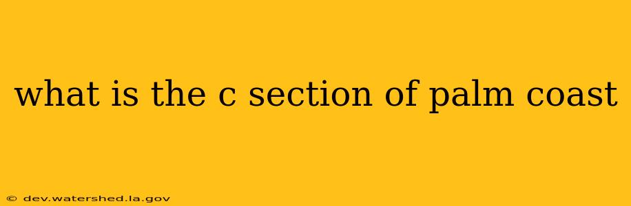 what is the c section of palm coast