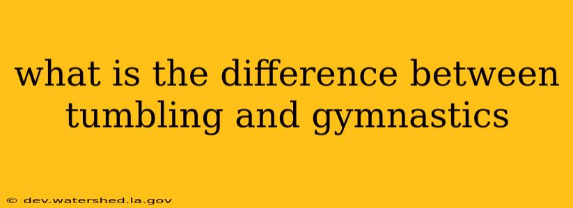 what is the difference between tumbling and gymnastics