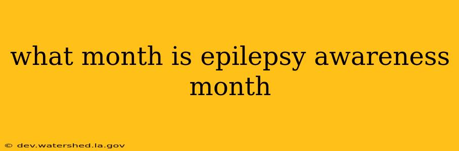 what month is epilepsy awareness month