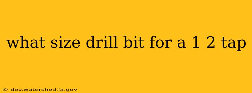 what size drill bit for a 1 2 tap