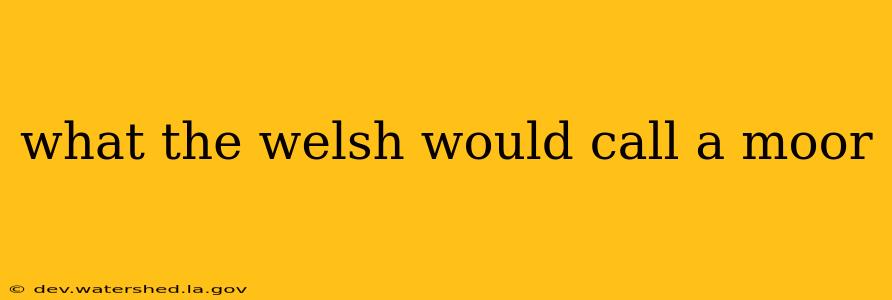 what the welsh would call a moor