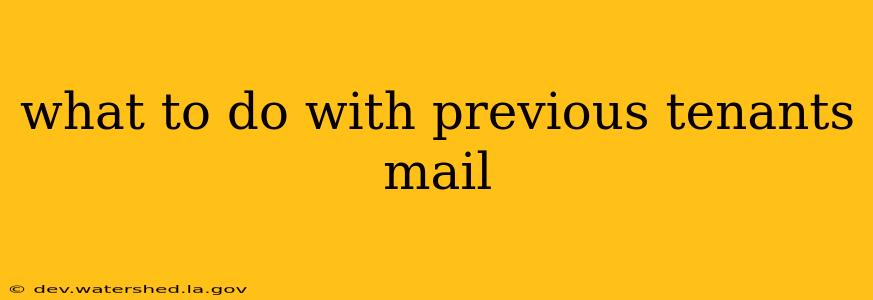 what to do with previous tenants mail