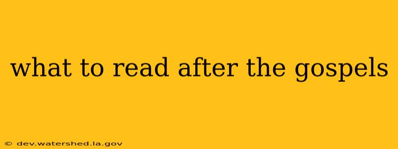 what to read after the gospels
