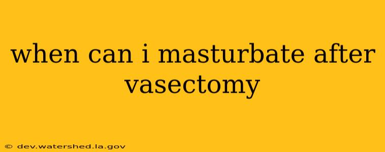 when can i masturbate after vasectomy