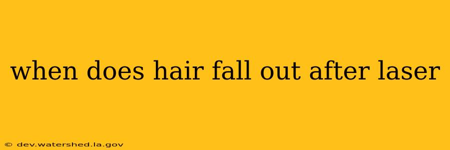 when does hair fall out after laser