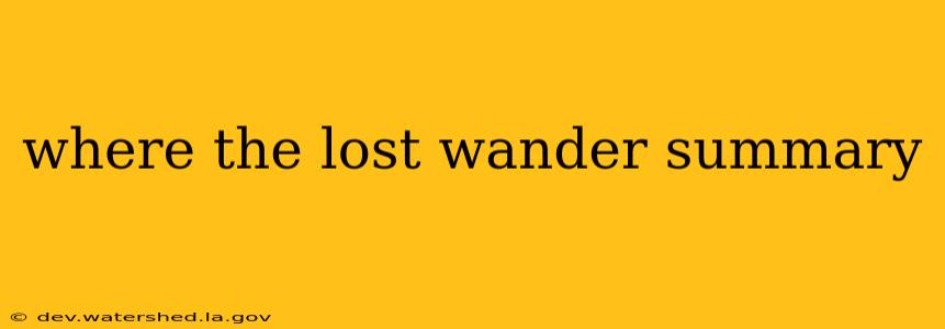 where the lost wander summary