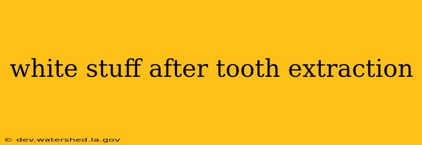 white stuff after tooth extraction