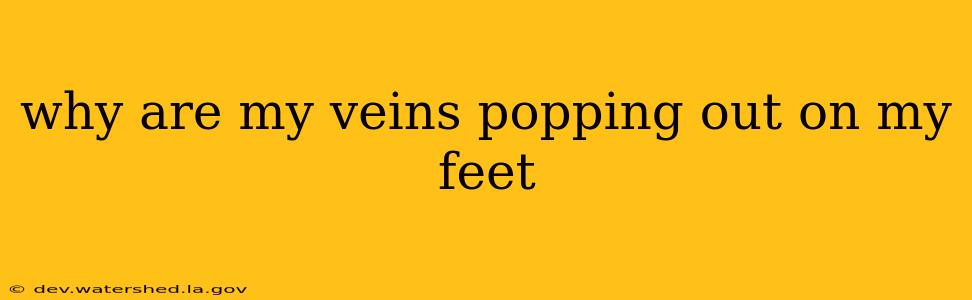 why are my veins popping out on my feet