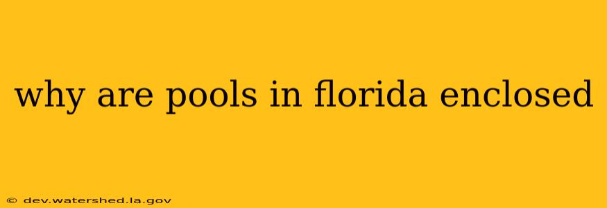 why are pools in florida enclosed