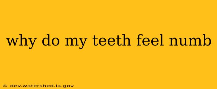 why do my teeth feel numb